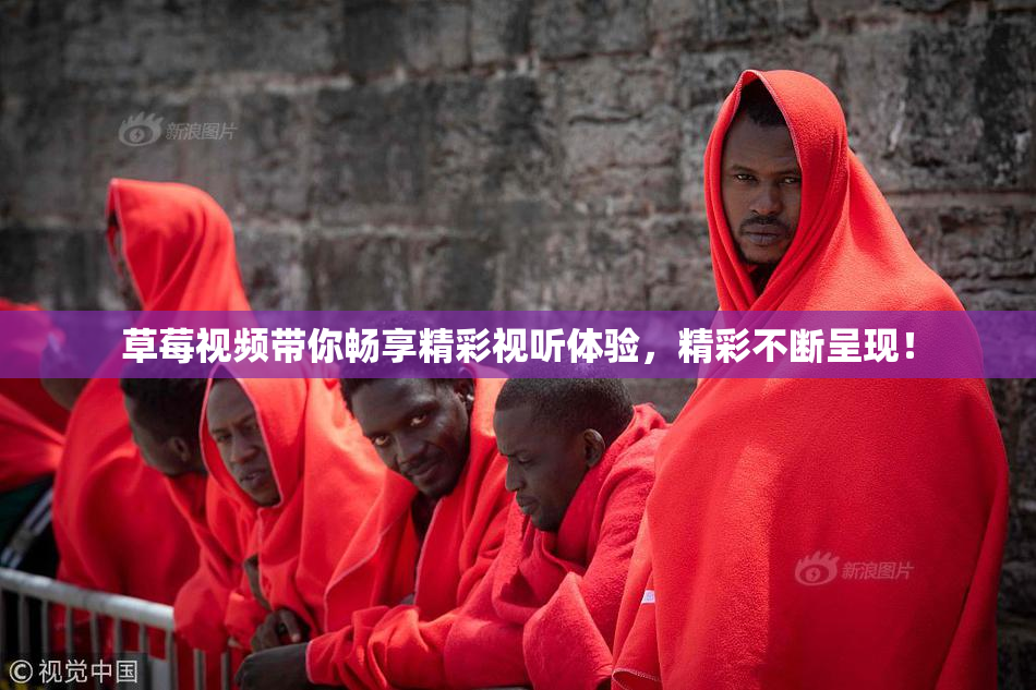 草莓视频带你畅享精彩视听体验，精彩不断呈现！