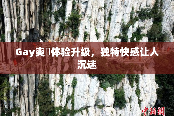 Gay爽擼体验升级，独特快感让人沉迷