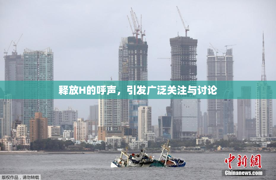 释放H的呼声，引发广泛关注与讨论