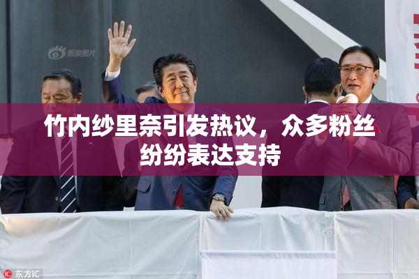 竹内纱里奈引发热议，众多粉丝纷纷表达支持