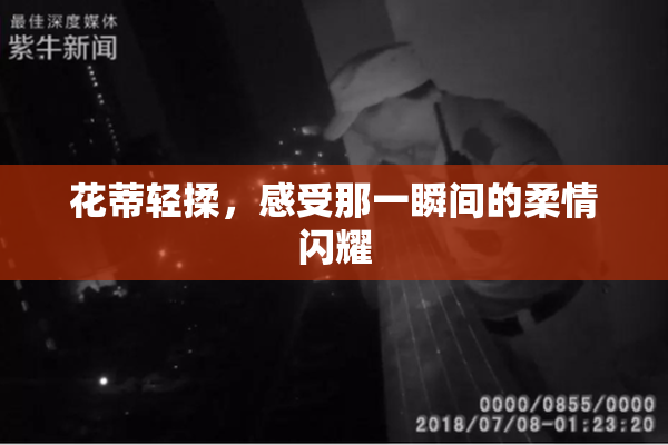 花蒂轻揉，感受那一瞬间的柔情闪耀