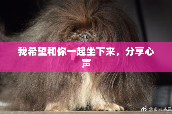 我希望和你一起坐下来，分享心声