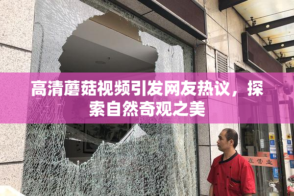 高清蘑菇视频引发网友热议，探索自然奇观之美