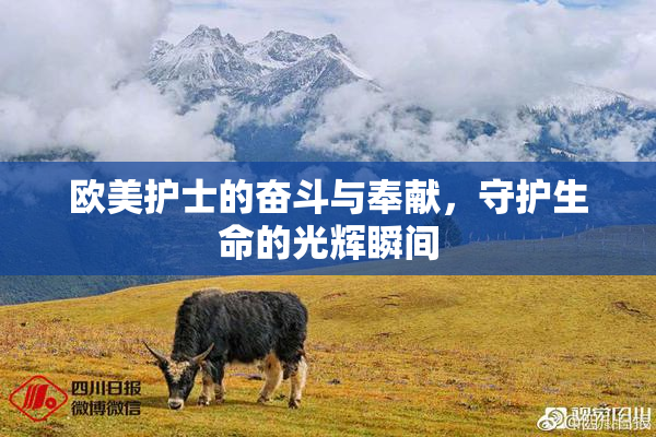 欧美护士的奋斗与奉献，守护生命的光辉瞬间