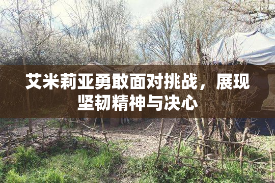 艾米莉亚勇敢面对挑战，展现坚韧精神与决心