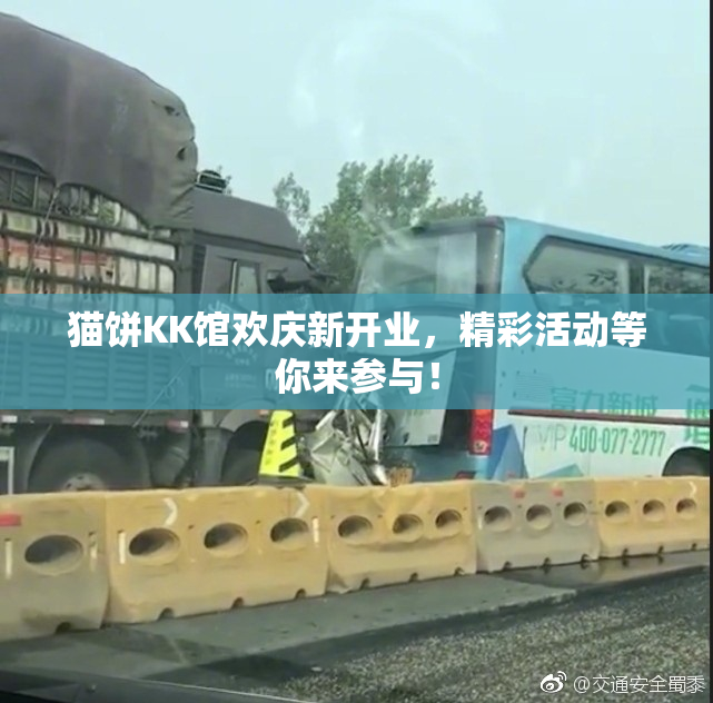 猫饼KK馆欢庆新开业，精彩活动等你来参与！