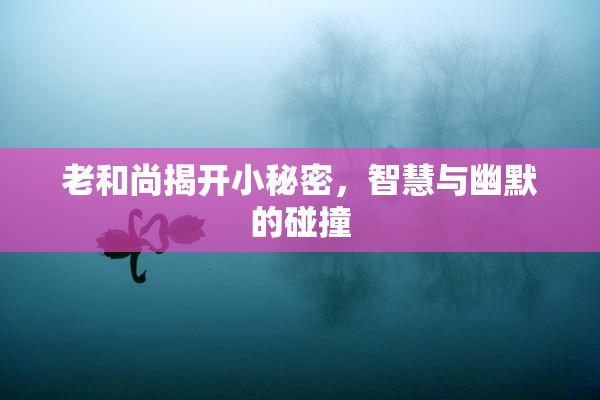 老和尚揭开小秘密，智慧与幽默的碰撞