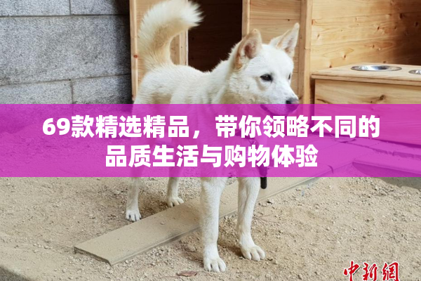 69款精选精品，带你领略不同的品质生活与购物体验