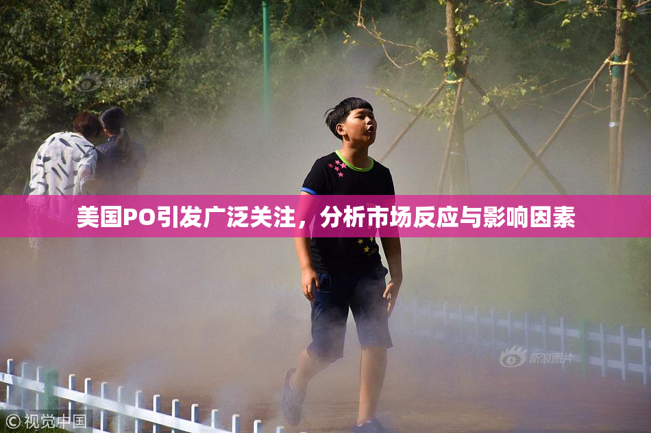 美国PO引发广泛关注，分析市场反应与影响因素