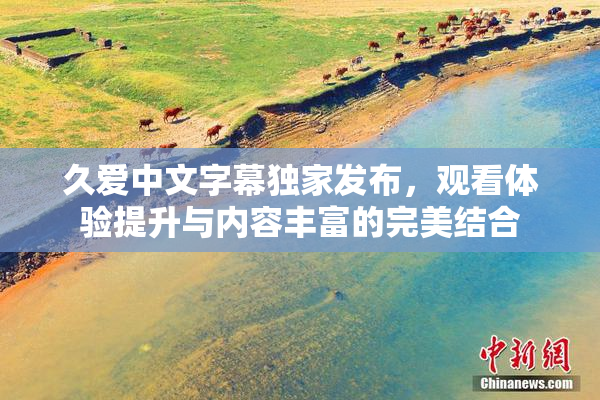 久爱中文字幕独家发布，观看体验提升与内容丰富的完美结合