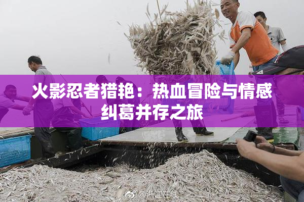 火影忍者猎艳：热血冒险与情感纠葛并存之旅