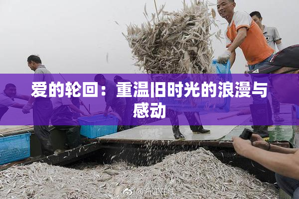 爱的轮回：重温旧时光的浪漫与感动