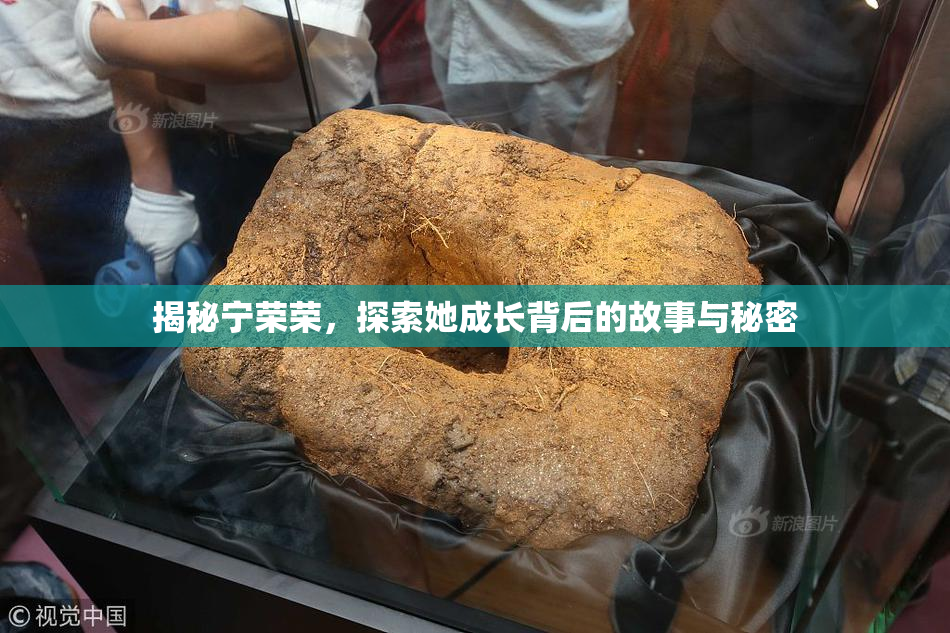 揭秘宁荣荣，探索她成长背后的故事与秘密