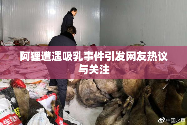 阿狸遭遇吸乳事件引发网友热议与关注