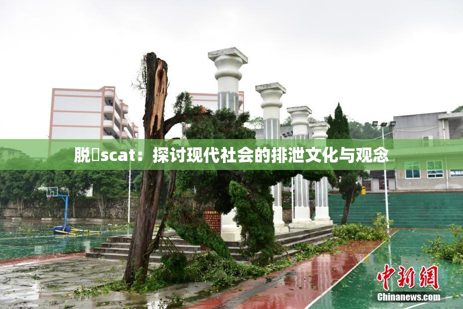 脱糞scat：探讨现代社会的排泄文化与观念