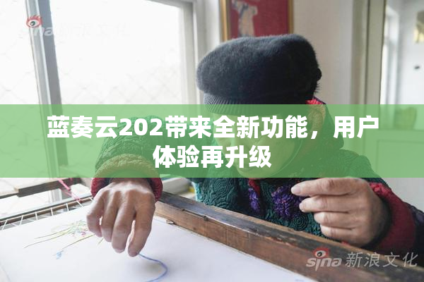 蓝奏云202带来全新功能，用户体验再升级