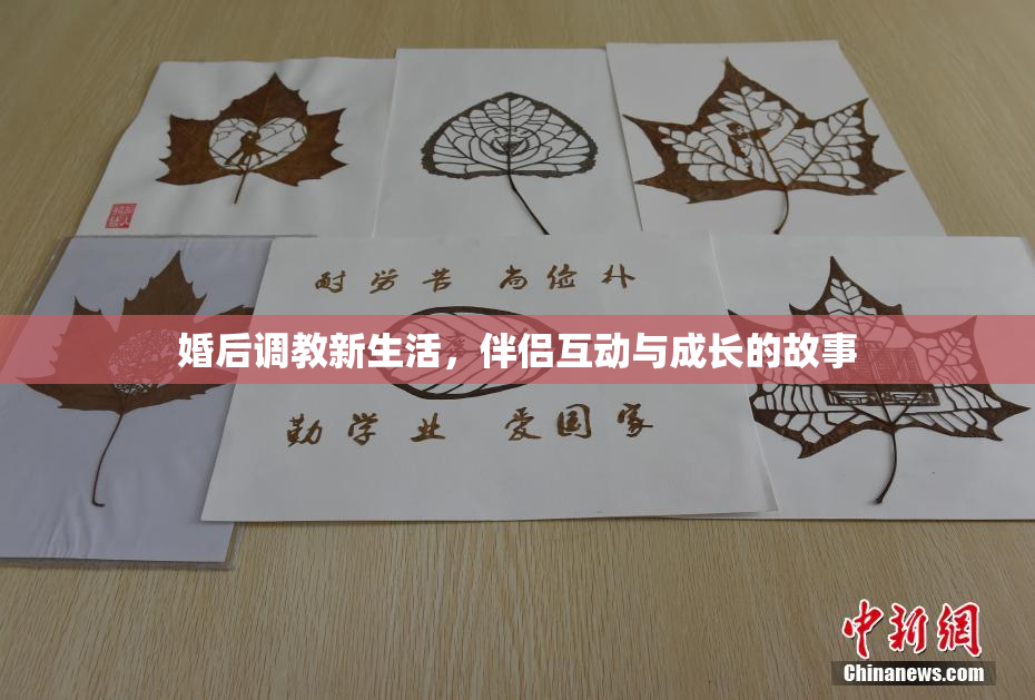 婚后调教新生活，伴侣互动与成长的故事