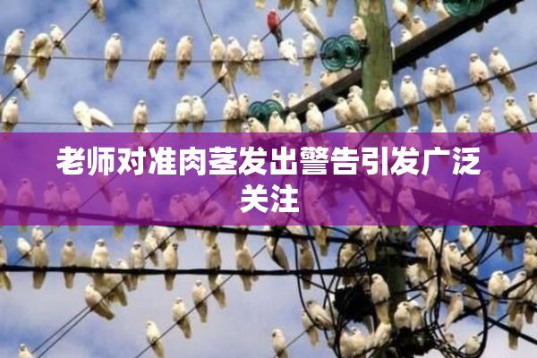 老师对准肉茎发出警告引发广泛关注