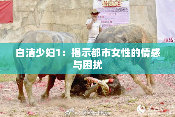 白洁少妇1：揭示都市女性的情感与困扰