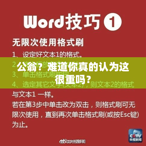 公翁？难道你真的认为这很重吗？
