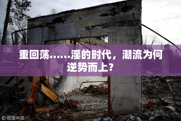 重回荡……淫的时代，潮流为何逆势而上？