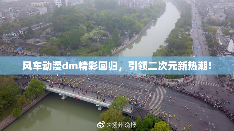 风车动漫dm精彩回归，引领二次元新热潮！