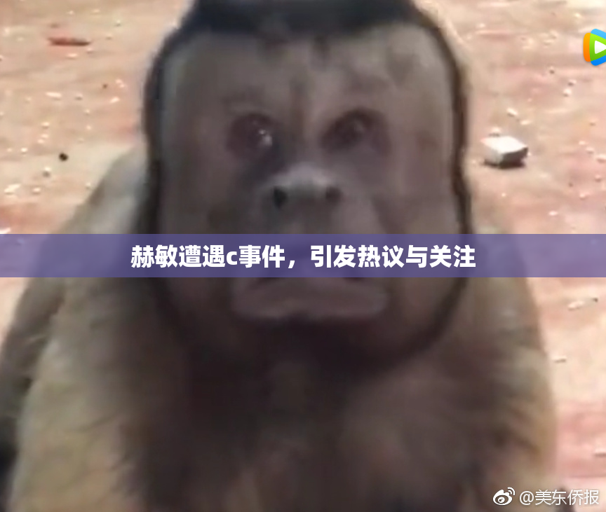 赫敏遭遇c事件，引发热议与关注