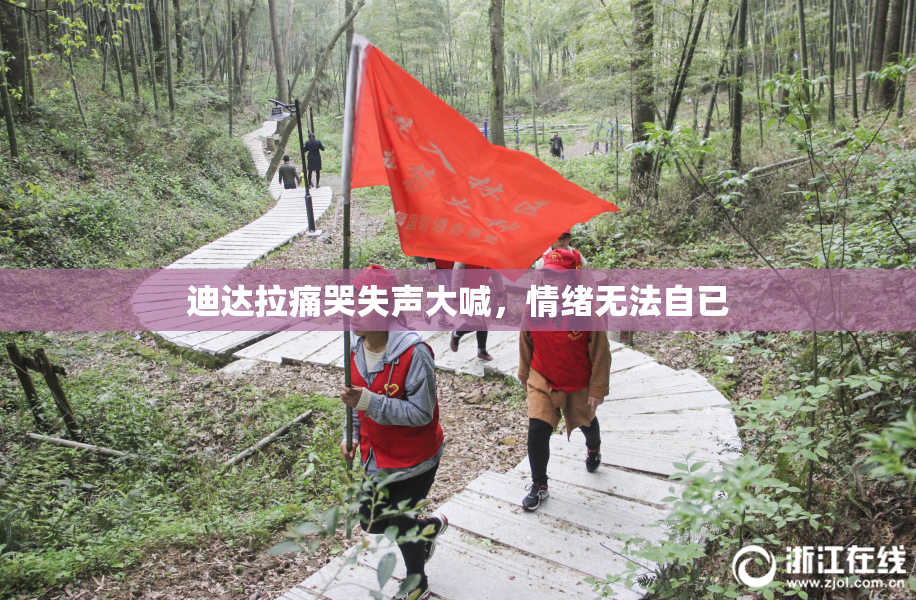 迪达拉痛哭失声大喊，情绪无法自已