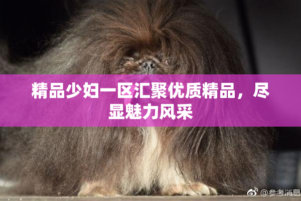 精品少妇一区汇聚优质精品，尽显魅力风采