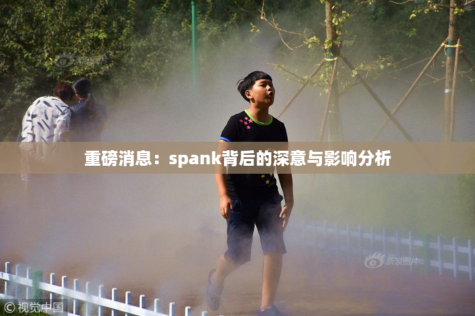 重磅消息：spank背后的深意与影响分析