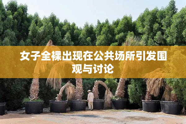 女子全裸出现在公共场所引发围观与讨论