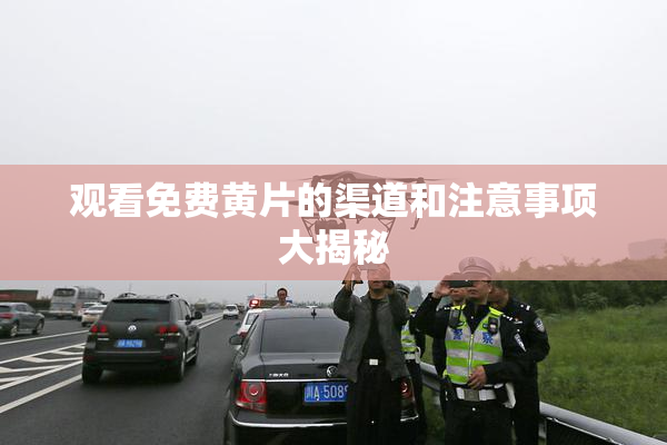 观看免费黄片的渠道和注意事项大揭秘