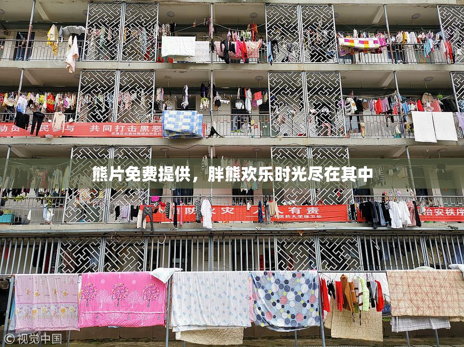 熊片免费提供，胖熊欢乐时光尽在其中