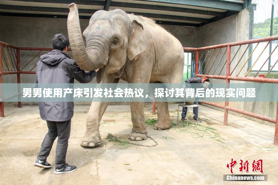 男男使用产床引发社会热议，探讨其背后的现实问题