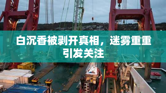 白沉香被剥开真相，迷雾重重引发关注