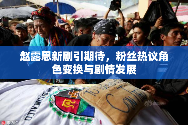 赵露思新剧引期待，粉丝热议角色变换与剧情发展