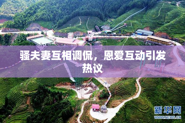 骚夫妻互相调侃，恩爱互动引发热议