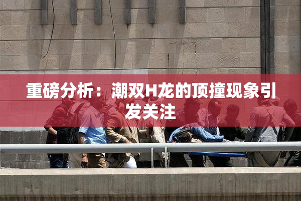 重磅分析：潮双H龙的顶撞现象引发关注
