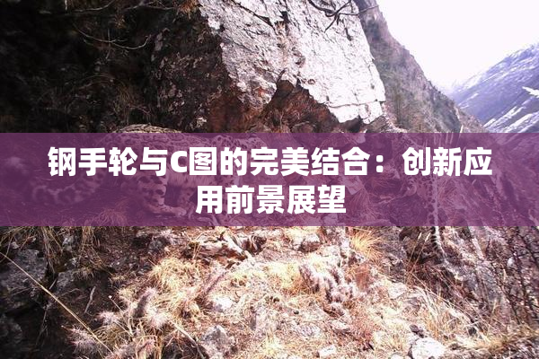 钢手轮与C图的完美结合：创新应用前景展望