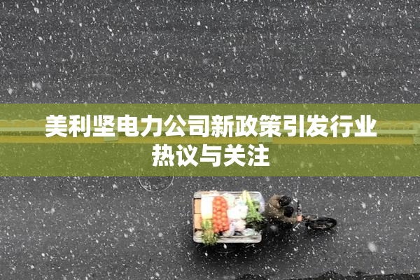 美利坚电力公司新政策引发行业热议与关注