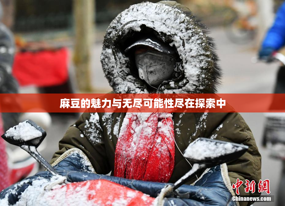 麻豆的魅力与无尽可能性尽在探索中