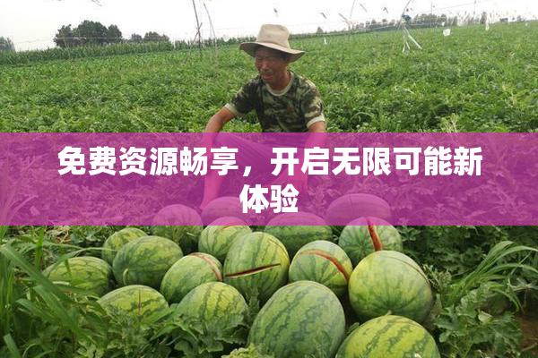 免费资源畅享，开启无限可能新体验