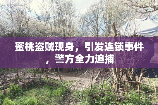 蜜桃盗贼现身，引发连锁事件，警方全力追捕