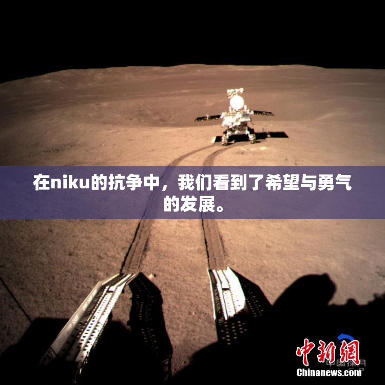 在niku的抗争中，我们看到了希望与勇气的发展。