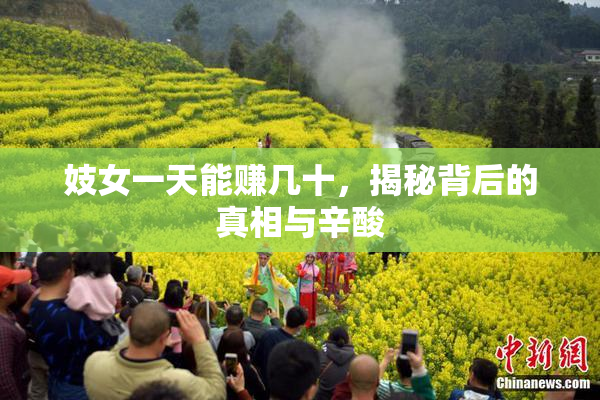 妓女一天能赚几十，揭秘背后的真相与辛酸