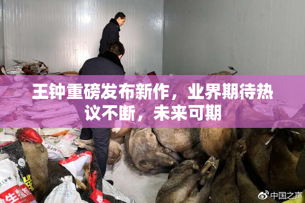 王钟重磅发布新作，业界期待热议不断，未来可期