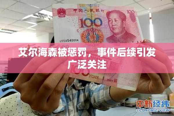艾尔海森被惩罚，事件后续引发广泛关注