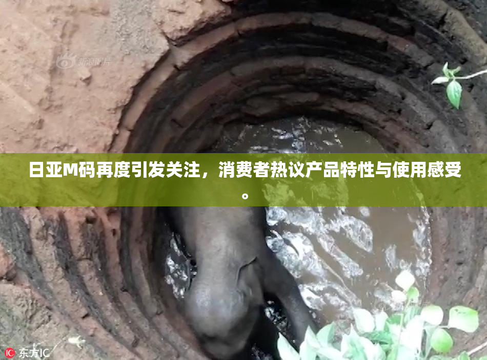 日亚M码再度引发关注，消费者热议产品特性与使用感受。