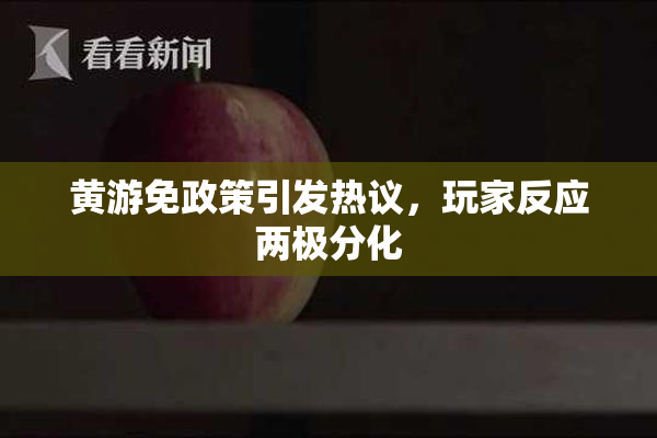 黄游免政策引发热议，玩家反应两极分化
