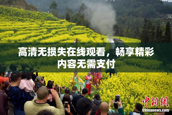 高清无损失在线观看，畅享精彩内容无需支付